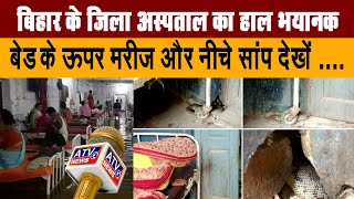 Bihar: जिला अस्पताल में बेड के ऊपर मरीज और नीचे सांप, देखें...
