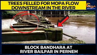Trees felled for Mopa flow downstream in the river. Block Bandhara at river Bailpar in Pernem