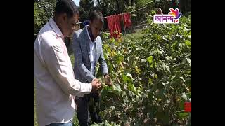 কৃষির উন্নয়নে কাজ করছে কৃষি অধিদপ্তর || Ananda Tv || Mymensing News