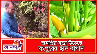 ব্যপক জনপ্রিয়তা পেয়েছে রংপুরের ছাদ বাগান || Ananda TV || Prime News