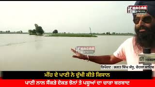Chohla Sahib Video | Fury of the rain | Crops and fodder were wasted | Reported By Bhagat Singh