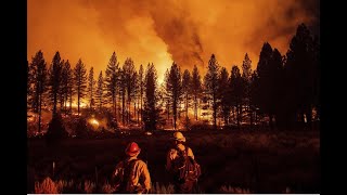 News Hots- कैलिफोर्निया के जंगल में लगी भीषण आग