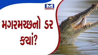 Vadodaraમાં Vishwamitri  Nadiમાં મગરમચ્છનો ડર | MantavyaNews