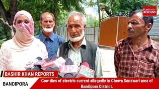 Cow dies of electric current allegedly in Chewa Sonawari area of Bandipora District.