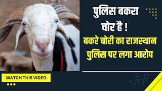 Jaipur News | Congress MLA का बकरा चोरी, पुलिस पर लगाया बकरा चोरी कर बेचने का आरोप | Hindi News