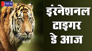 International Tigers Day | रणथंभौर से अगले 2 माह में 5 टाइगर होगे शिफ्ट, सरिस्का मे छोड़ने की तैयारी