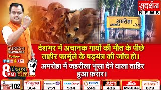 #bindasbol : देशभर में अचानक गायों की मौत के पीछे ताहीर फार्मूले के षड्यंत्र की जाँच हो।