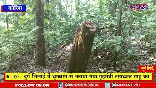 CG__कोरिया वन विभाग बिहारपुर में अधिकारी की उदासीनता के चलते जंगल में सागौन की अवैध कटाई जोरों पर |