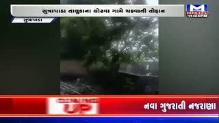 Gujarat Rains | Lumpy Virus |  Monsoon2022 | વરસાદ |