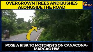 Overgrown trees and bushes alongside the road, Pose a risk to motorists on Canacona-Margao HW