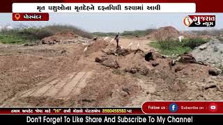 PORBANDAR ગુજરાત ન્યૂઝ-પોરબંદરની ખબરની અસર 09-08-2022