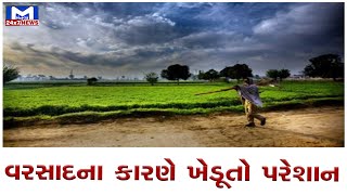 હિંમતનગરના હડિયોલમાં ખેડૂતો બરબાદ  | MantavyaNews