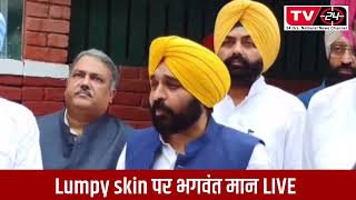 CM bhagwant mann on lumpy skin - Tv24 Punjab News
