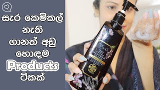 Affordable Hair Care Routine With Prices |Pre shampoo| Shampoo| Conditioner and Leave On Serum