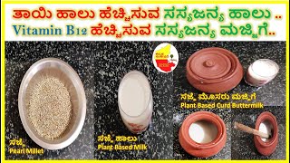 ಸಜ್ಜೆ ಹಾಲು & ಮೊಸರು ಮಜ್ಜಿಗೆ || Plant - Based Milk & Curd || Vitamin B 12 food || Kannada Sanjeevani