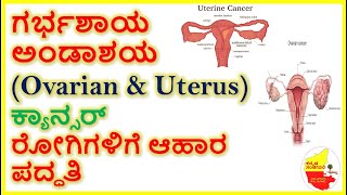 ಗರ್ಭಶಾಯ ಅಂಡಾಶಯ (Ovarian & Uterus) ಕ್ಯಾನ್ಸರ್  ರೋಗಿಗಳಿಗೆ ಆಹಾರ ಪದ್ಧತಿ || Kannada Sanjeevani
