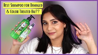 How I fix my colored and chemically treated hair | Pistachio Shampoo + Serum