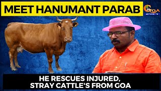Meet Hanumant Parab, He rescues injured, stray cattle's from Goa