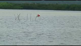 Someone has put the national flag in the middle of the river Mandovi