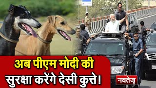 अब PM Modi की सुरक्षा करेंगे देसी कुत्ते!