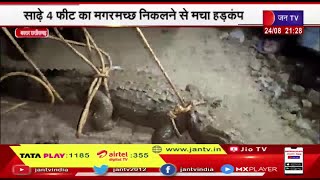 Bastar Chhattisgarh News | बड़े परोदा गांव से वन विभाग ने साढ़े 4 फीट के मगरमच्छ का किया रेस्क्यू