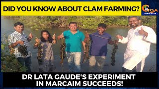 Did you know about clam farming? Dr Lata Gaude's experiment in Marcaim succeeds!