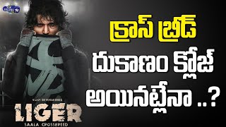 Liger Collection Worldwide | Liger Box Office Collection | Vijay Devarakonda | Puri | Top Telugu TV