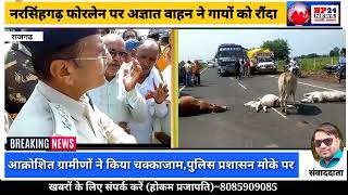 राजगढ़/  सड़क हादसे में 8 गायों की मौत का जिम्मेदार कोन?