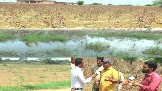 चौपटा के गांव शक्कर मंदोरी में जल त्रासदी के बाद फसलों के भयंकर हालात, अभी भी खडा है खेतों में पानी