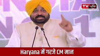 CM Bhagwant mann speech in haryana today - Tv24 punjab News today