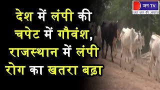Khas Khabar | देश में लंपी की चपेट में गौवंश, राजस्थान में लंपी रोग का खतरा बढ़ा | JAN TV