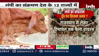 Lumpy Virus : लंपी का मचा कोहराम, महामारी घोषित करने की उठी मांग... गायों पर कहर- दूध पर कितना असर ?
