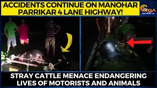 #Accidents continue! Stray cattle menace endangering lives of motorists and animals