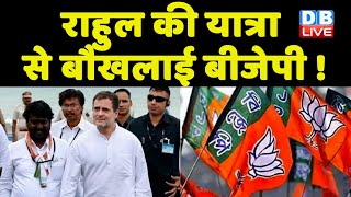Rahul Gandhi की यात्रा से बौखलाई BJP ! झूठ की फैक्ट्री ओवरटाइम कर रही काम- Jairam Ramesh | #dblive