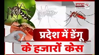 Haryana में डरा रहा डेंगू ! स्वास्थ्य विभाग के फूले हाथ-पैर | Dengue Cases In Haryana