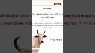 गाय को बचाने के लिए अब सड़कों पर उतरेगा Rajasthan, Social Mediaपर उठी मांग!