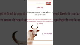 गाय को बचाने के लिए अब सड़कों पर उतरेगा Rajasthan, Social Media पर उठी मांग!