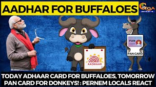 Today Aadhaar card for buffaloes, Tomorrow PAN card for donkeys!