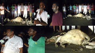 गौमाता की जय वाली गौमाता की मौत पर बिफरे ग्रामीण,रात के समय में रोड जाम कर किया हंगामा,जिम्मेवार कौन