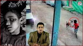 Jungli Kuttay Ne Kiya Masoom Par Jaan Lewa Hamla | CCTV Footage | Jalpally |@Sach News