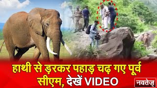 हाथी से ड़रकर पहाड़ चढ़ गए पूर्व CM, देखें VIDEO