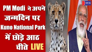 Live Update- जन्मदिन के मौके पर PM मोदी ने कूनो नेशनल पार्क में छोड़े 8 चीते