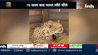 Cheetah Is Back in India : भारत की धरती पर 70 साल बाद लौटे चीते, जन्मदिन पर PM नरेंद्र मोदी का गिफ़्ट
