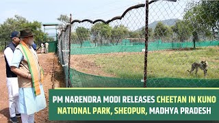 PM Narendra Modi releases Cheetan in Kuno National Park, Sheopur, Madhya Pradesh l PMO