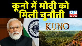 Kuno में PM Modi को मिली चुनौती | PM Kuno National Park में करेंगे इसका शुभारंभ | #dblive