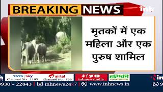 Chhattisgarh News :  सूरजपुर इलाके में हाथियों का आतंक, दहशत में ग्रामीण