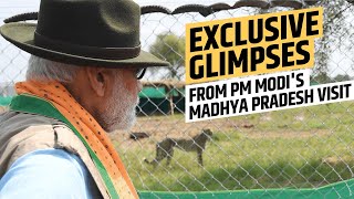 Exclusive glimpses from PM Modi's Madhya Pradesh visit