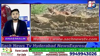 HYDERABAD NEWS EXPRESS | Sher Ke Nazar Aane Se Awaam Hui Khauf Zada | SACH NEWS | 20-09-2022 |
