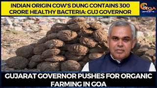 Indian origin cow's dung contains 300 crore healthy bacteria: Gujarat Governor