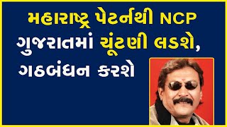 મહારાષ્ટ્ર પેટર્નથી NCP ગુજરાતમાં ચૂંટણી લડશે, ગઠબંધન કરશે | NCP | Gujarat Election